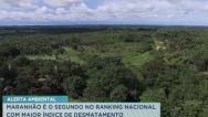 Maranhão é o 2ª Estado com maior desmatamento do Cerrado
