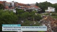 Maranhão já tem mais de 600 infecções por malária em 2023