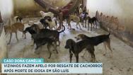 Vizinhos fazem apelo por resgate de cães após morte de idosa 