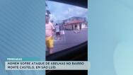 Homem sofre ataque de abelhas no bairro Monte Castelo