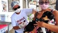 Prefeitura de São Luís segue com vacinação antirrábica de cães e gatos