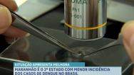 Maranhão é o 2°Estado do país com menor incidência dos casos de dengue