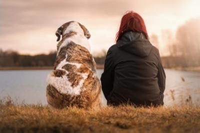 Projeto inclui direitos dos animais no currículo do ensino fundamental