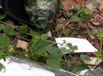 BOPE detorna artefato explosivo no bairro Cohatrac em São Luís