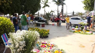 Serviços de manutenção e venda de flores começam cedo em cemitérios da capital