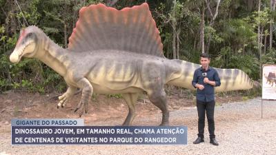 Parque do Rangedor recebe réplica em tamanho natural de dinossauro