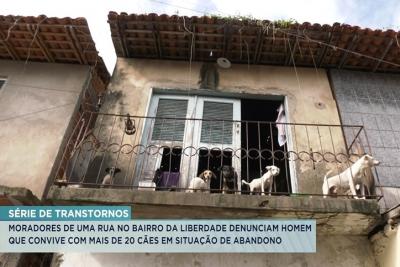 São Luís: moradores denunciam cães em situação de abandono no bairro da Liberdade