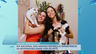 Dia Nacional dos Animais traz reflexão sobre a importância dos bichos