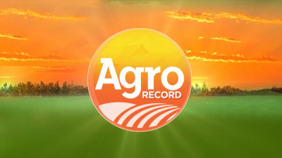 AgroRecord: agricultura familiar abastece mesas e gera renda no Maranhão