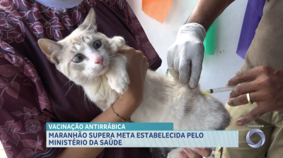 Maranhão alcança meta nacional da vacinação antirrábica em 2025