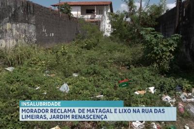 Morador denuncia lixo e matagal em rua do Jardim Renascença