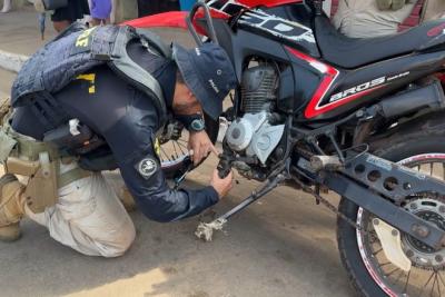 Maior operação contra fraudes veiculares recupera mais de 320 veículos no Maranhão