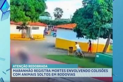 Acidentes envolvendo animais soltos muitas vezes resultam em morte