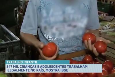 Trabalho infantil volta a crescer no Brasil e o Nordeste