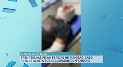 Três pessoas ficam feridas após ataque de cão da raça pitbull no Maiobão