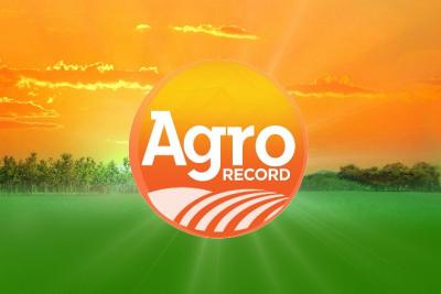 Agro Record: crescimento na produção de grãos, algodão e piscicultura impulsionam economia em 2026
