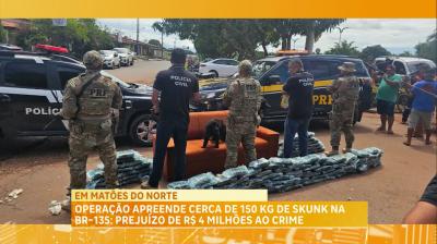 Operação apreende cerca de 150kg de skunk na BR-135: prejuízo de R$ 4 milões ao crime
