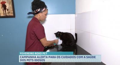 Fevereiro Roxo Pet reforça cuidados com a saúde de animais idosos