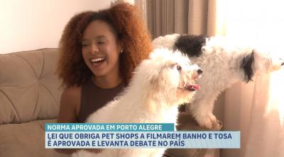 Lei que obriga pet shops a filmarem banho e tosa entra em vigor no Sul e gera debate entre tutores no Maranhão