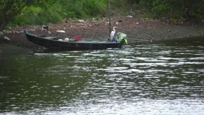 Pesquisa aponta aquecimento dos oceanos, gerando diminuição quantidade de peixes