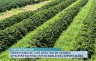 Agro Record: AGED participa de evento de tecnologia e Rio Verde celebra abóbora gigante