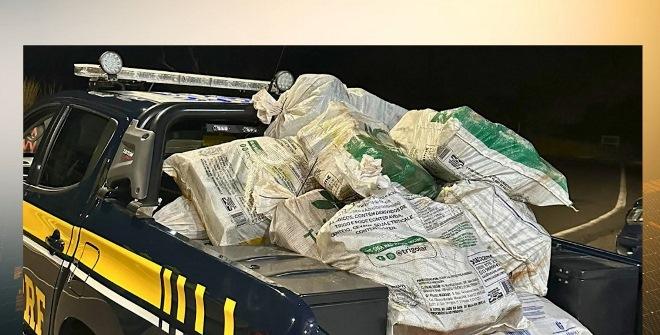 PRF apreende mais de 420 kg de droga escondidos em fundo falso de caminhão